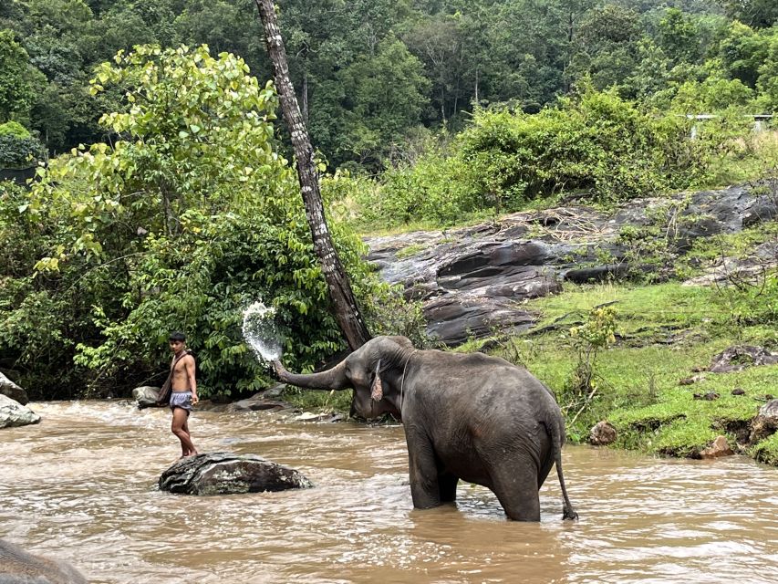 Chiang Mai: Elephant Sanctuary & Waterfall Group Tour - Important Information