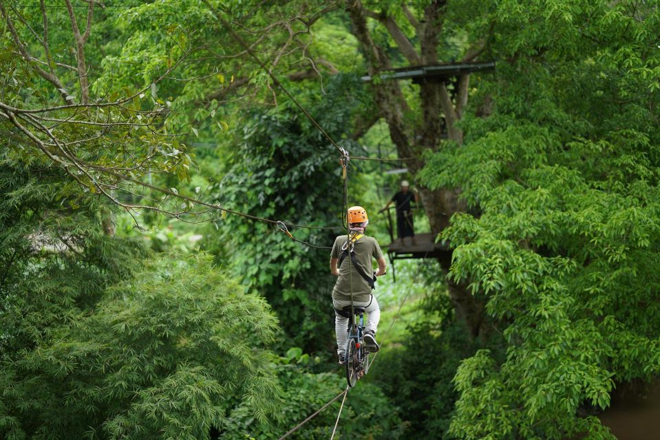 Chiang Mai: National Elephant Care & Rafting/Ziplines Trip - Full Description