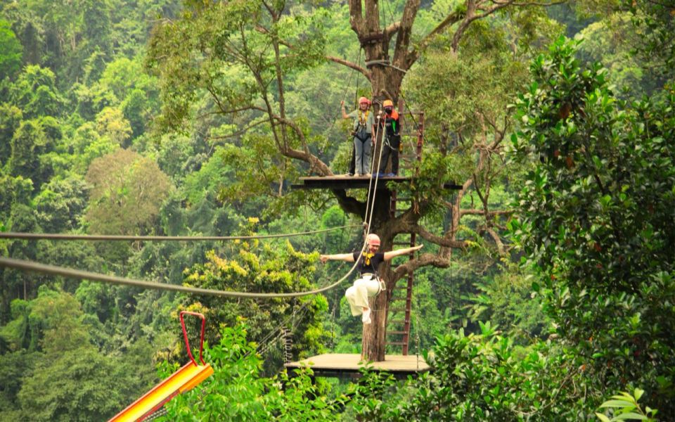 Chiang Mai: Pongyang Jungle Coaster & Zipline - Activity Highlights