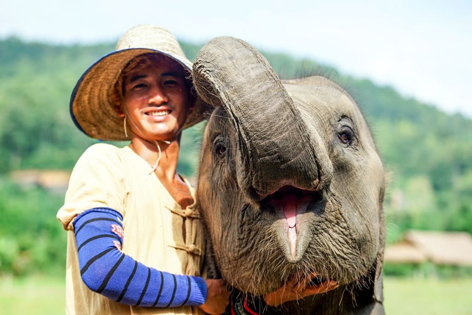 Chiang Mai: Small Group Ethical Elephant Sanctuary Tour - Transportation & Location