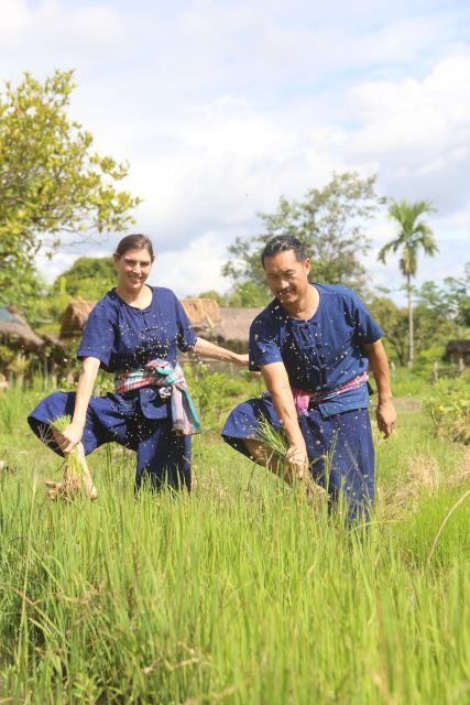 Chiang Mai: Thai Buffalo and Rice Planting Experience - Full Experience Description