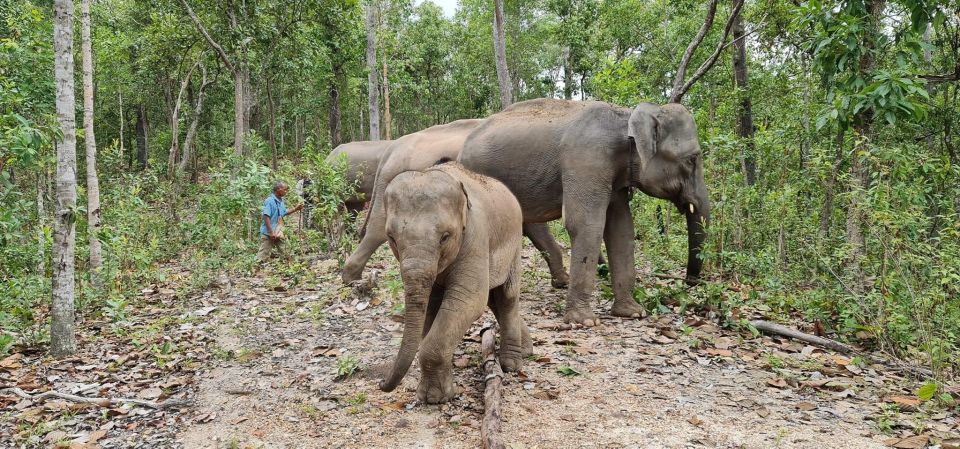 Chiang Mai: Waterfall, Elephant Sanctuary, and Rafting Tour - Meeting Point and Review Summary