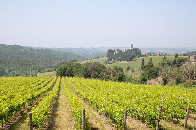 Chianti Wine Tastings at Sunset Day Trip From Florence - Traveler Reviews and Highlights