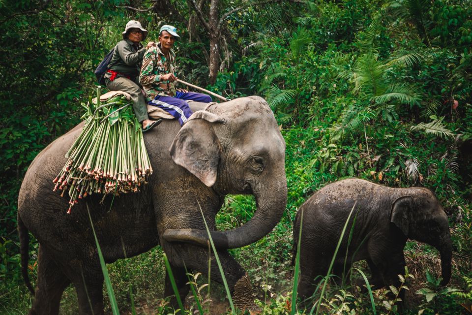 Chitwan:2 Night 3 Days Jungle Safari Adventure Tour - Included Inclusions and Logistics