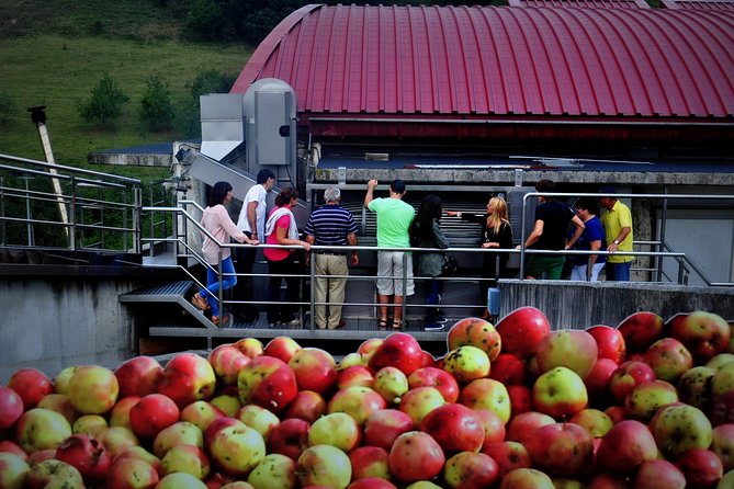 Cider House Experience From San Sebastian - Traveler Photos and Reviews