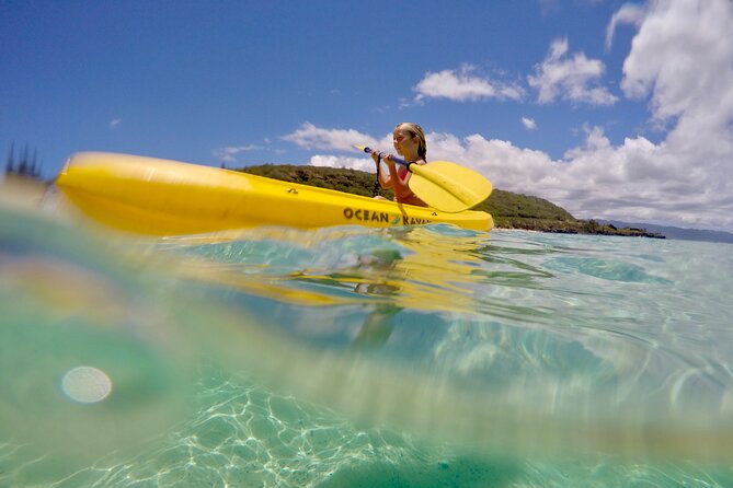 Circle Island North Shore Adventure Tour Snorkeling - Tour Guide Excellence