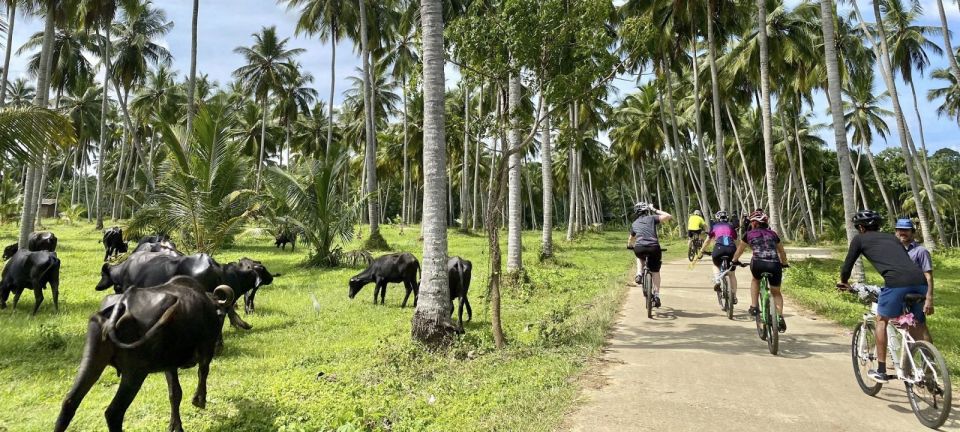 City & Fort Cycling Tour in Galle - Experience Itinerary