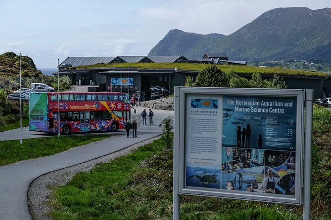 City Sightseeing Alesund Hop-On Hop-Off Bus Tour - Reviews