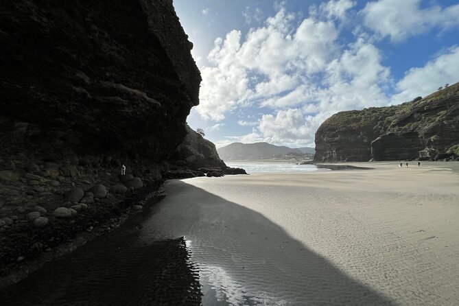 City to Piha - Auckland Day Expedition - Lunch Options in Piha Village