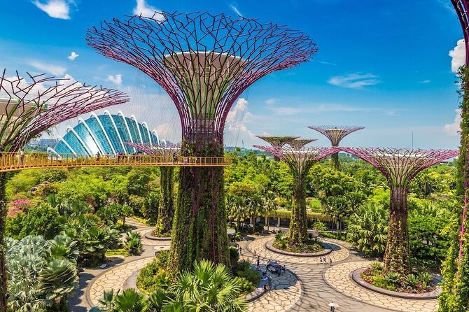 City TourGardens by the Bay(FlowerDome&CloudForest)Transfers - Transfer Information