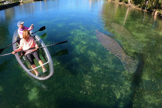 Clear Kayak Manatee Ecotour of Crystal River - Requirements and Limitations