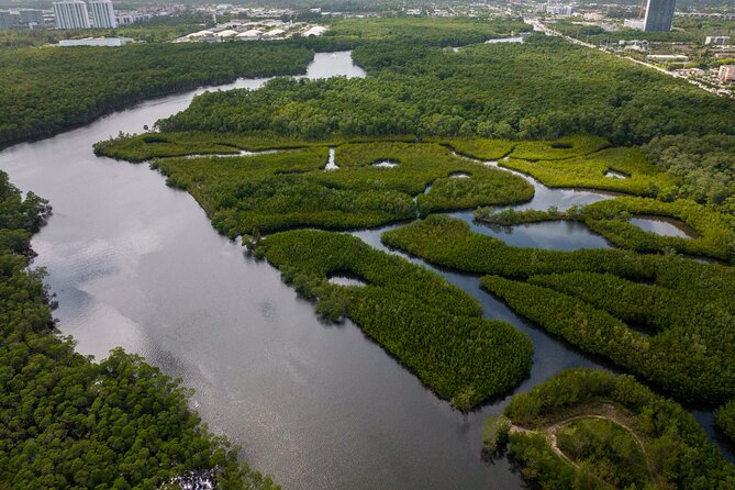 Clear Kayak Tour in North Miami Beach - Mangrove Tunnels - Kayaking Tips