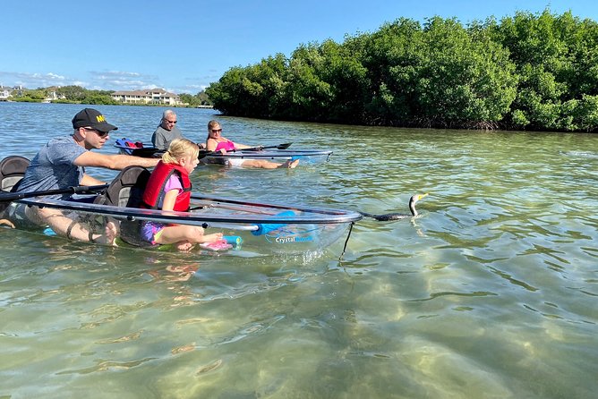 Clear Kayak Tour of Shell Key Preserve and Tampa Bay Area - Meeting and Pickup Details
