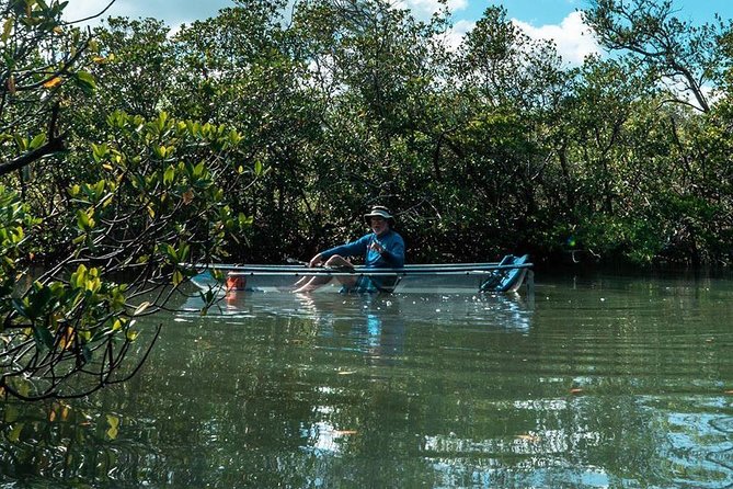 Clear Kayak Tours in Fort Pierce - Wildlife Encountered