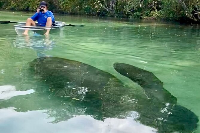 Clear Kayak Tours in Weeki Wachee - Guest Testimonials and Conservation Contributions