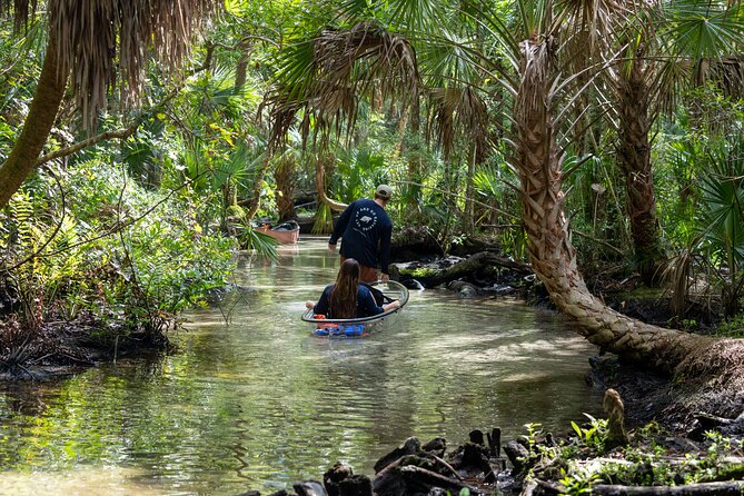 Clear Kayak Tours on Chassahowitzka River - Positive Experiences