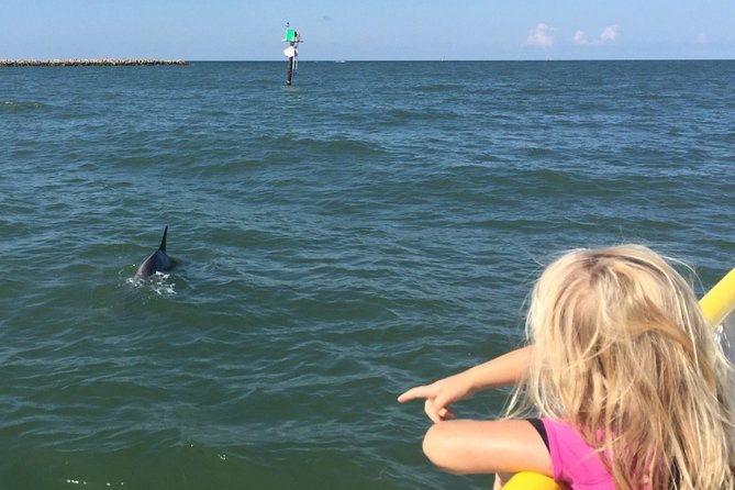 Clearwater Encounters With Dolphins Tour - Crew Expertise and Dolphin Interactions