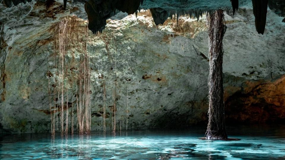 Coba, Tulum, Cenote & Lunch ECO Full Day From Rivera - Booking and Cancellation Policy