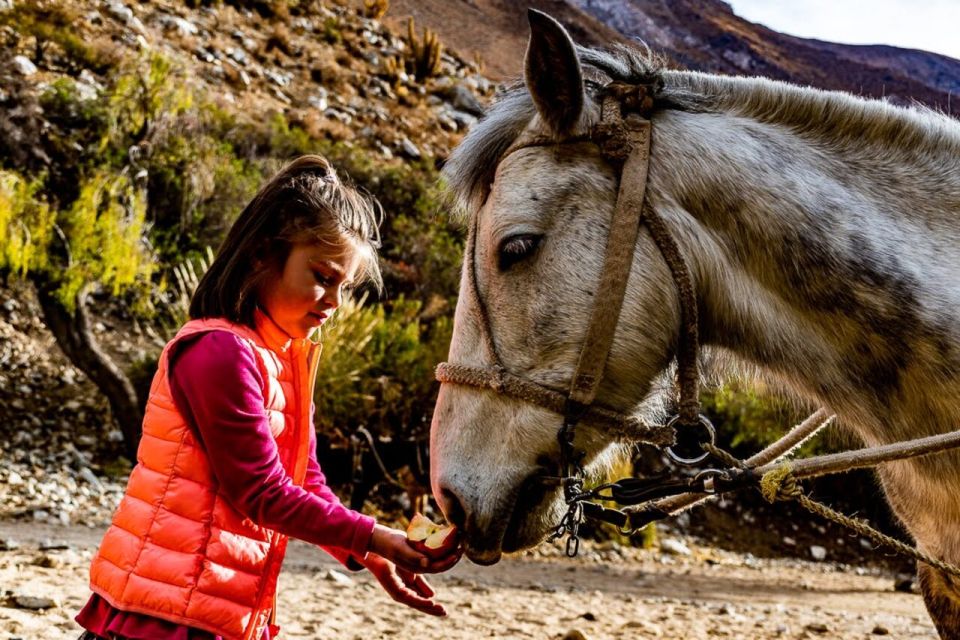Cochiguaz: Horseback Riding, River and Mountain Range - Highlights