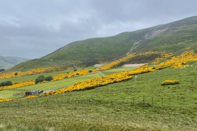 Codebreakers Choice: Unveiling Rosslyn Chapel & Pentland Secrets - Pentland Hills Exploration