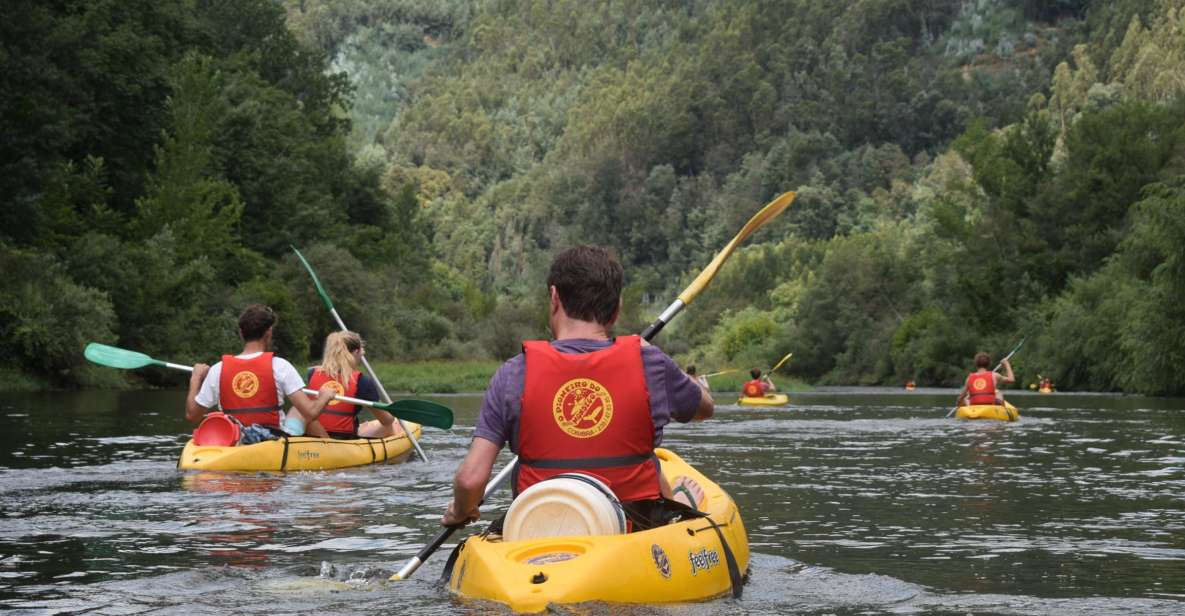 Coimbra: Mondego River Kayaking Tour - Activity Description