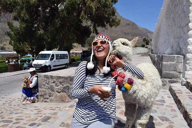 Colca Full Day - Pricing Information