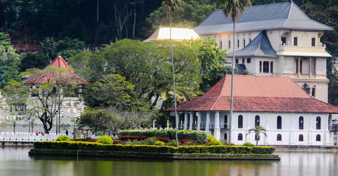 Colombo or Negombo: Temple of the Tooth Kandy Day Trip - Customer Reviews