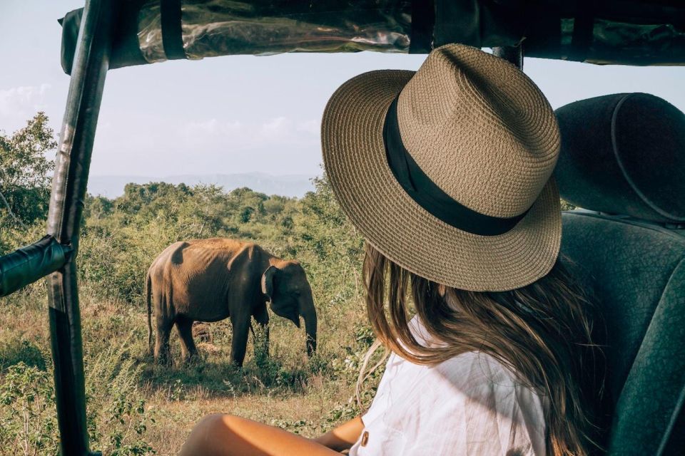 Colombo To Udawalawe National Park Safari Tour - Safari Tour Information