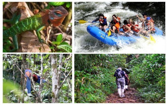 Colombo: Water Rafting, Bird Watching, Village & Rainforest - Activity Highlights