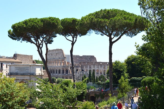 Colosseum, Roman Forum and Palatine Hill Tour Professional Guided Tour - Customer Reviews and Rating Insights