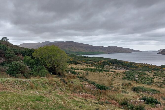 Connemara, Kylemore Abbey, Sky Road Private Half-Day Tour From Galway - Inclusions and Extras Provided