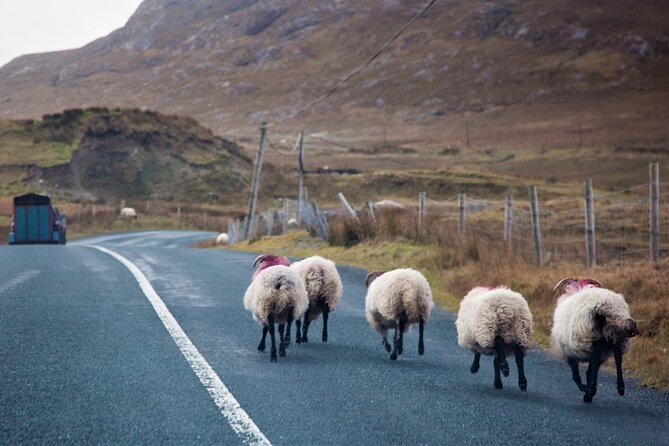 Connemara & Mayo Pub Tour From Westport. Mayo. Private Guide. Full Day. - Additional Information