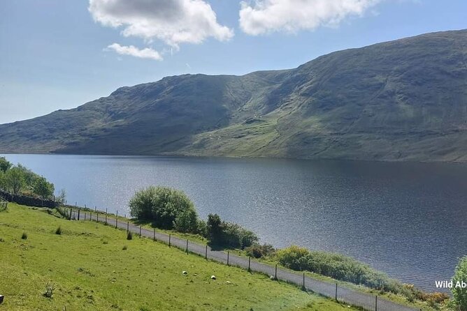 Connemara Sheep Farm Experience & Kylemore Abbey by Lux Limousine - Professional Tour Guide Insights