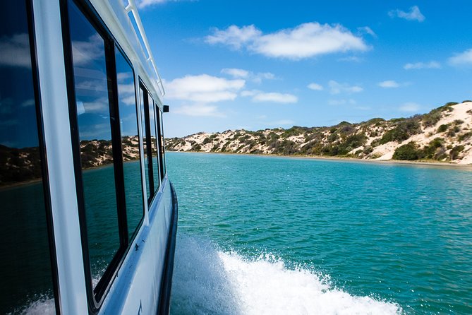 Coorong 3.5-Hour Discovery Cruise - Positive Experiences