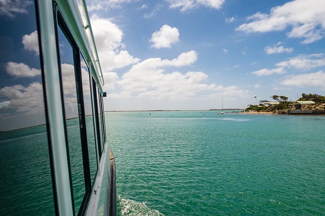 Coorong 6-Hour Adventure Cruise - Additional Information