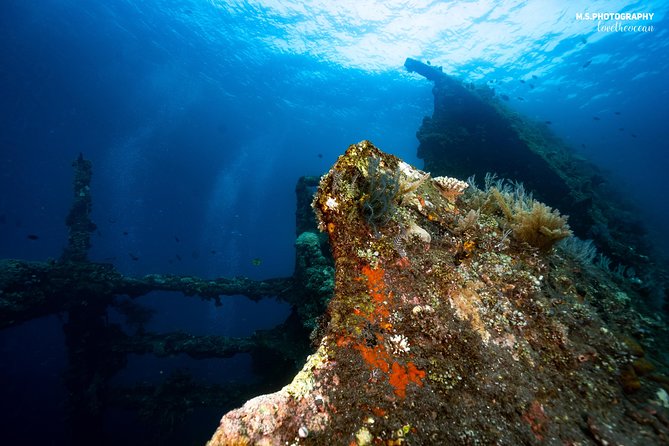 Coral Garden and Liberty Shipwreck Beginner Scuba Diving Tour  - Tulamben - Important Guidelines and Expectations