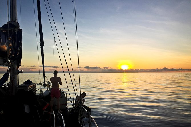 Coral Sea Dreaming: Overnight Dive, Snorkel & Sail From Cairns - Logistics and Itinerary Overview