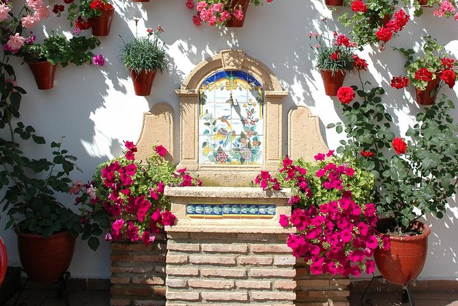 Cordoba Guided Visit to the Popular Patios - Traveler Experience and Reviews