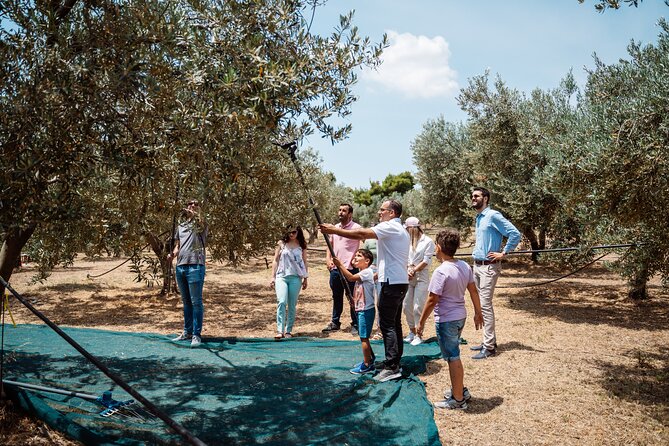 Corinth & Olive Oil Tasting Private Tour From Athens - Included Amenities