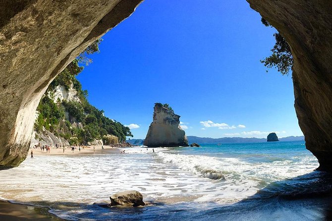 Coromandel Peninsula Highlights Small Group Tour From Auckland - Local Guide Insights