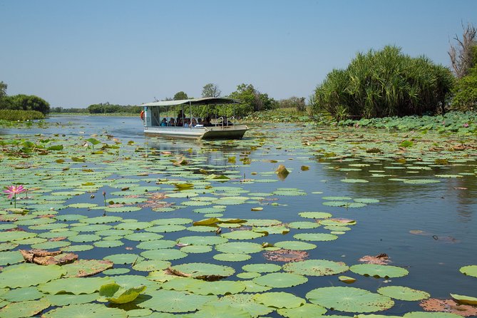 Corroboree Billabong Wetland Cruises - 2 Hour Sunset Cruise - Customer Reviews