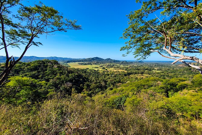 Costa Rica Monkey Jungle Zipline From Tamarindo - Customer Reviews