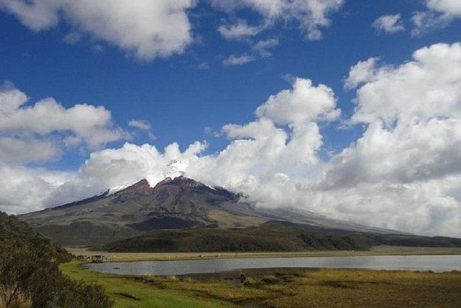 Cotopaxi Volcano and Limpiopungo Lagoon Excursion From Quito - Traveler Reviews