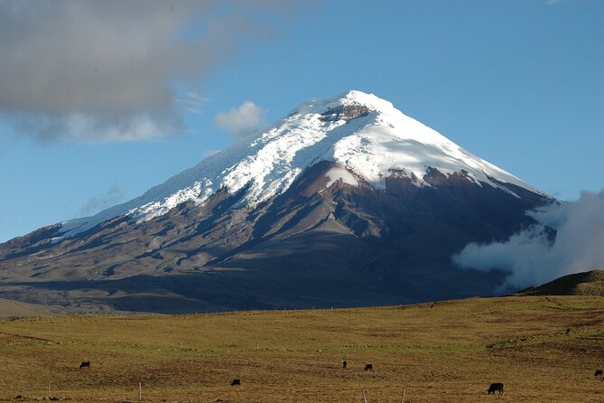Cotopaxi Volcano Quest! - Assistance and Support Information