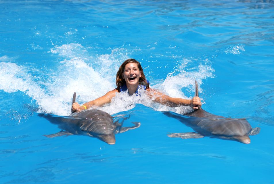 Cozumel: Dolphin Royal Swim - Review Summary