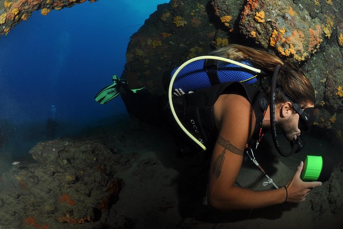 Crete Introductory Scuba Diving Experience - Traveler Feedback and Ratings