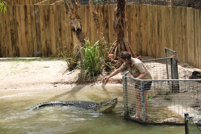 Croc and Wildlife Park Tour With Transfers From Cairns  - Cairns & the Tropical North - Customer Reviews