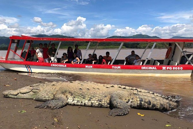 Crocodile Man Tour THE ORIGINAL - Last Words