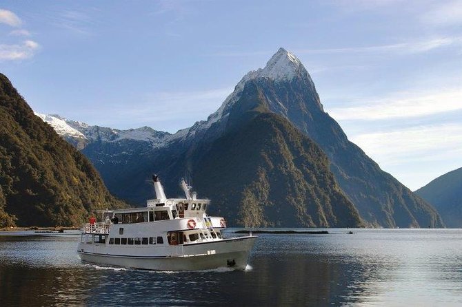 Cruise Milford NZ Small Boutique Cruise Experience - Wildlife Encounters