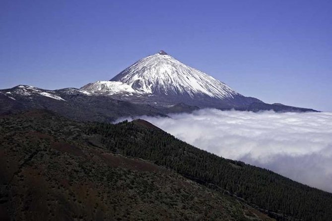 Customizable Private Excursion for Cruises in Santa Cruz De Tenerife (Mar ) - Review Highlights and Responses